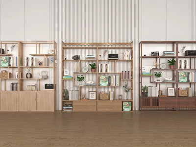 Stylish Wooden Bookcases Interior With Books Decorative Items Plants And Frames 3d model