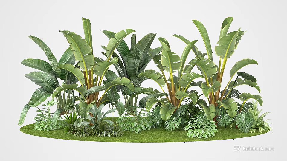 Lush Tropical Plants With Large Green Leaves And Diverse Foliage On Grass 3d model 