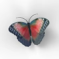 Modern Butterfly 3d model