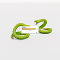 Reptile Rattlesnake 3d model