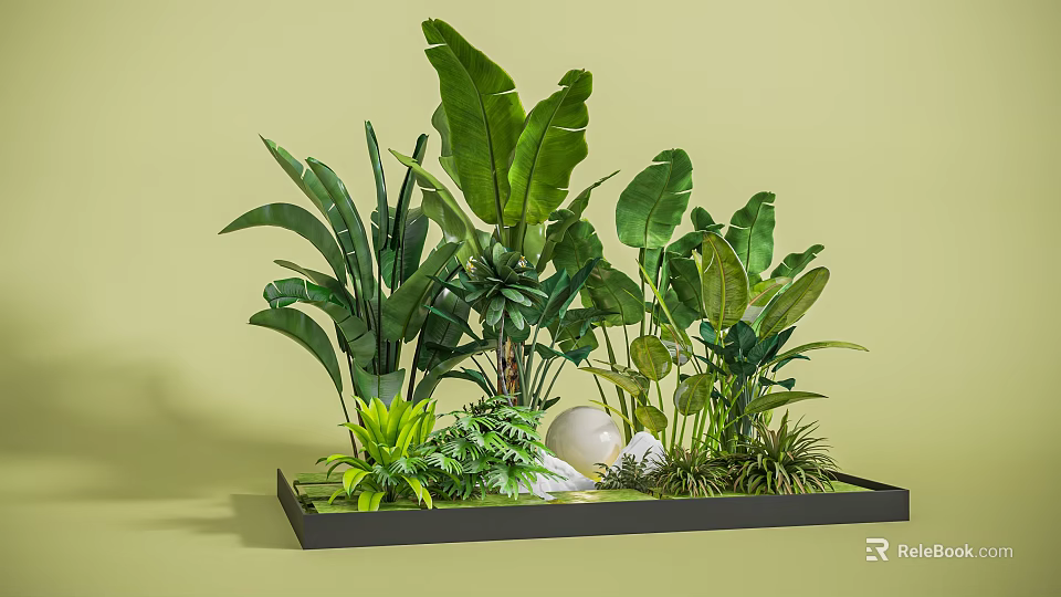 Vibrant Indoor Plant Combination With Large Green Leaves And Black Rectangular Tray 3d model