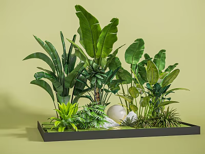 Vibrant Indoor Plant Combination With Large Green Leaves And Black Rectangular Tray 3d model