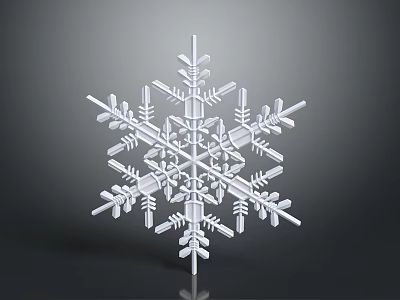 Elegant Snowflake Design Decorative Ornament Set for Modern Home Interior Decor 3d model