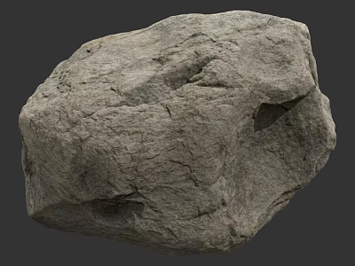 Natural Rough Textured Wood Stone Material With Solid Surface And Organic Grain Patterns 3d model
