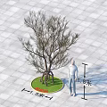 Tree Pit Design With Tree Green Grass Square Pavement And 1.5M 1.8M Dimensions 3d model