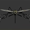 3D Rendered Mosquito With Golden Head Long Legs Transparent Wings And Striped Body