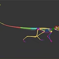 Small Animal Skeleton Display With Long Tail And Detailed Bone Structure On Dark Reflective Surface 3d model