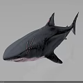 Dark Blue Shark With Pink Stripes 3D Model On Gray Background