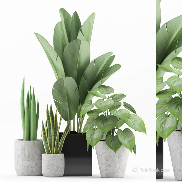 Decorative Ornament Combination With Various Green Potted Plants And Different Planters 3d model 