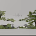 Traditional Garden Landscape Design With Pine Trees Rocks And Mossy Greenery