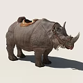 Rhino With Brown Leather Saddle And Bridle Standing On White Background