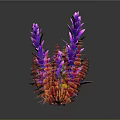 Cartoon Scene Featuring Colorful Coral Seaweed Various Colors Purple Red Yellow Black Background And Reflections