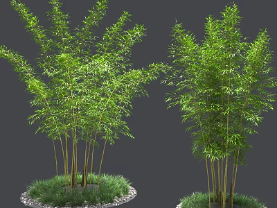Green Bamboo Clusters With Lush Leaves Grass And Stone Base In Garden 3d model