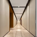 Modern Elevator Hallway Interior With Marble Walls Ceiling Lights And Floor Tiles 3d model