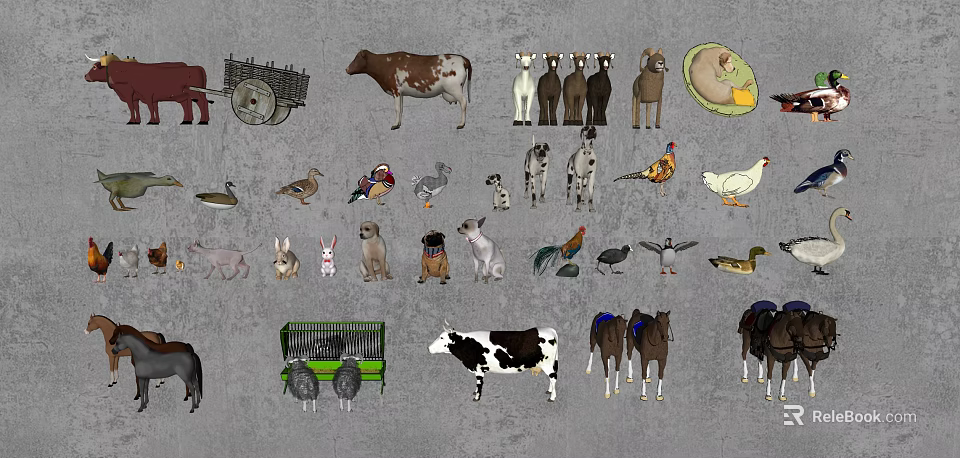 Reptile Species Showcase With Lizards Snakes Turtles And Their Natural Habitats 3d model 