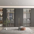 Modern Wardrobe Interior Design With Glass Doors Hanging Clothes And Green Plant