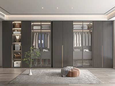 Modern Wardrobe Interior Design With Glass Doors Hanging Clothes And Green Plant 3d model