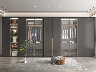 Modern wardrobe 3d model