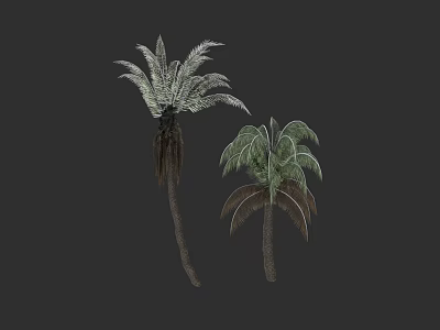 Two Tall Palm Trees With Large Green Fronds And Natural Trunks 3d model