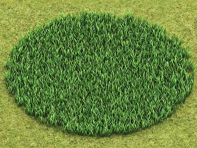 Green Round Grass Lawn With Fresh Lush Foliage And Natural Texture 3d model