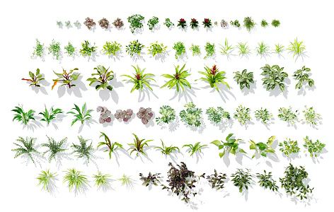 modern plant green plant wall plant 3d model