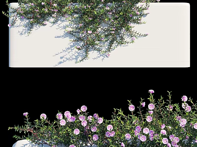 Ornamental Decorative Set Featuring Purple Flowers Green Foliage and White Planter 3d model