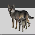 Realistic Adult Wolf And Baby Wolf Standing Together On Dark Background