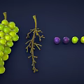 Cartoon Grape Stylized Grape Cartoon Fruit Low Poly Fruit Green Grape Purple Grape 3d model