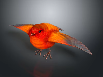 Orange Bird With Vibrant Feathers Spread Wings On Black Background With Reflection 3d model