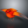 Orange Bird With Vibrant Feathers Spread Wings On Black Background With Reflection 3d model
