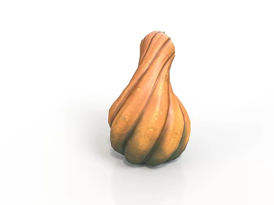 Fresh Ripe Twisted Squash With Orange Green Striped Surface For Healthy Cooking 3d model