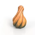 Fresh Ripe Twisted Squash With Orange Green Striped Surface For Healthy Cooking