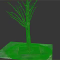 Bare Branched Leafless Tree With Thick Trunk Standing On Square Soil Base Over Light Platform