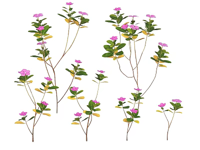Pink Flowering Plants With Green Leaves And Slender Stems For Garden Decor 3d model