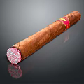 Brown Cigar With Red Band And White Tip On Shiny Black Surface 3d model