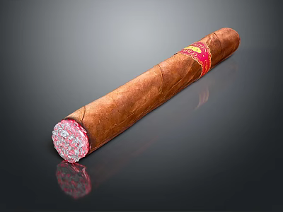 Brown Cigar With Red Band And White Tip On Shiny Black Surface 3d model