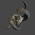 Animal Skull With Curved Horns And Natural Texture On Gray Background