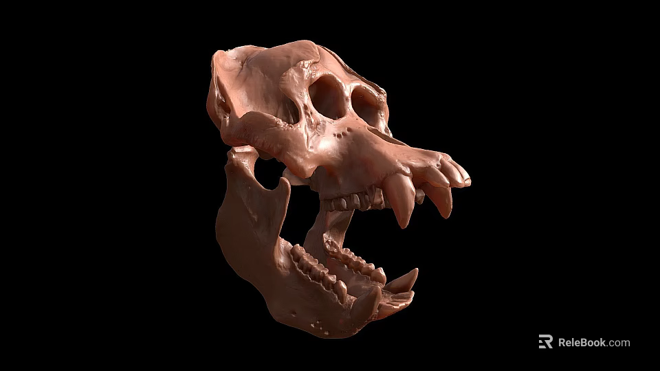 Detailed Brown Animal Skull With Sharp Teeth And Anatomical Features 3d model