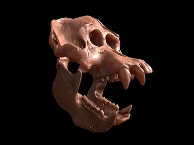 Detailed Brown Animal Skull With Sharp Teeth And Anatomical Features 3d model
