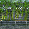 Building Exterior Wall With Lush Bamboo Trees Hollowed Cross Design Stone Pavement And Wooden Benches