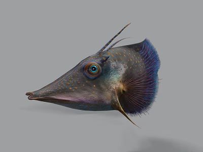 Colorful Aquatic Fish Close Up View With Long Snout Blue Purple Body Yellow Spots And Large Eyes 3d model