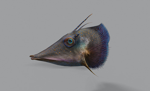 Modern Fish Alien Fish Fantasy Creatures 3d model