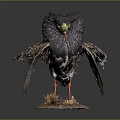 Lifelike Taxidermy Black Feathered Bird With Red Legs On Hay Base