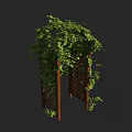 Wooden Garden Arbor Covered With Green Climbing Vines And Lattice Design