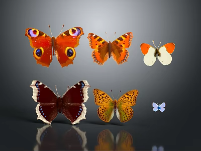 Multiple Colorful Butterflies With Eye Spots And Patterns On Gray Background With Reflections 3d model