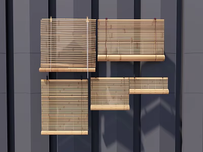 Bamboo Blinds In Various Styles Hanging On Modern Gray Wall Surface 3d model