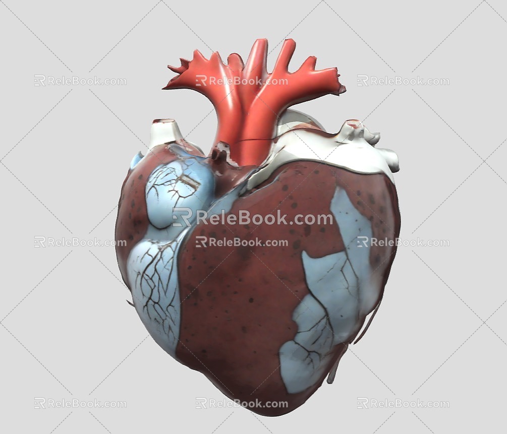 Heart Heart Organ 3d model