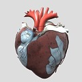 Heart Heart Organ 3d model