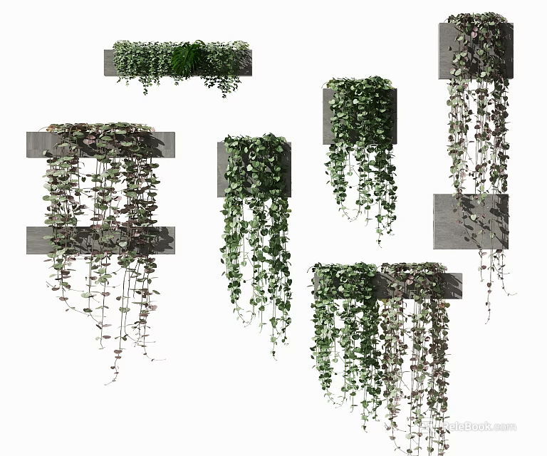 Elegant Green Trailing Hanging Potted Plants Wall Mounted Decor Arrangements 3d model 