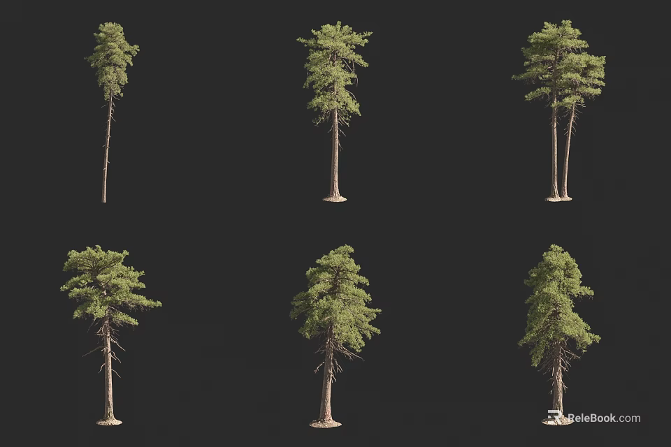 Trees In Various Forms With Green Foliage Tall Trunks And Different Poses Displayed 3d model